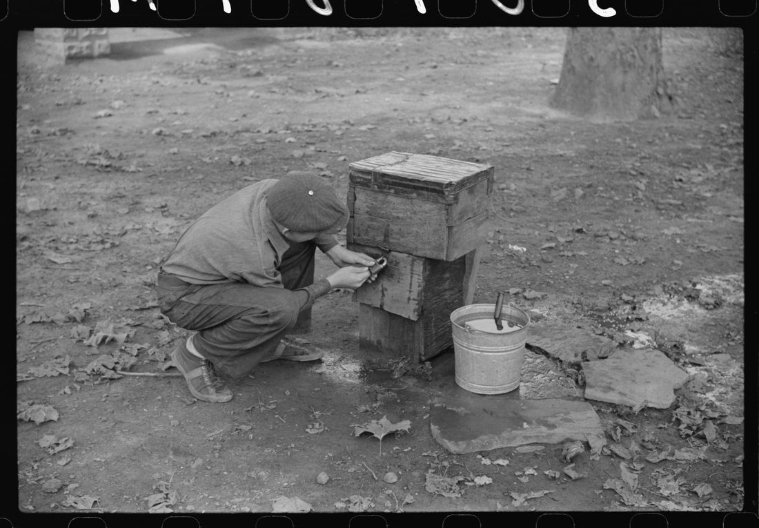 The "water company" was formed by the people in abandoned mining town of Jere, West Virginia, after the coal company cut off all public services because they were abandon
