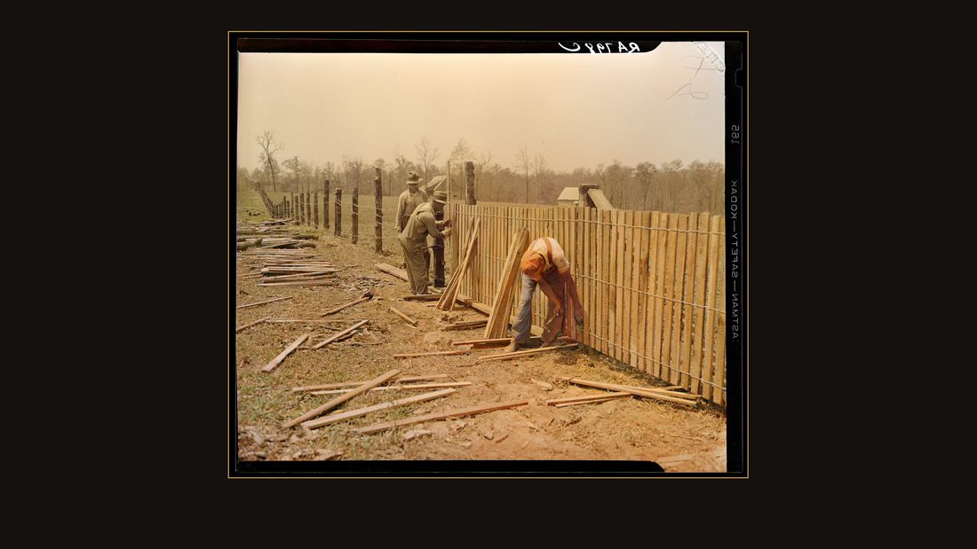 Erecting a fence at Cumberland Homesteads. Crossville, Tennessee