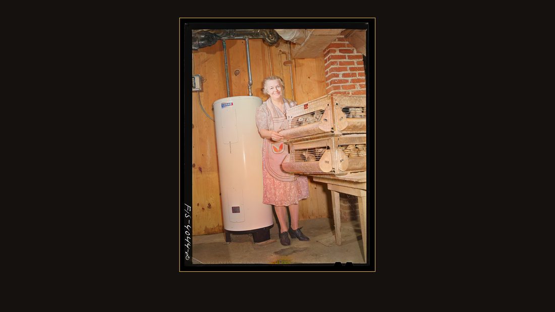 Knox County, Tennessee (Tennessee Valley Authority (TVA)). Mrs. Wiegel, farm wife, with electric brooder and hot water heater
