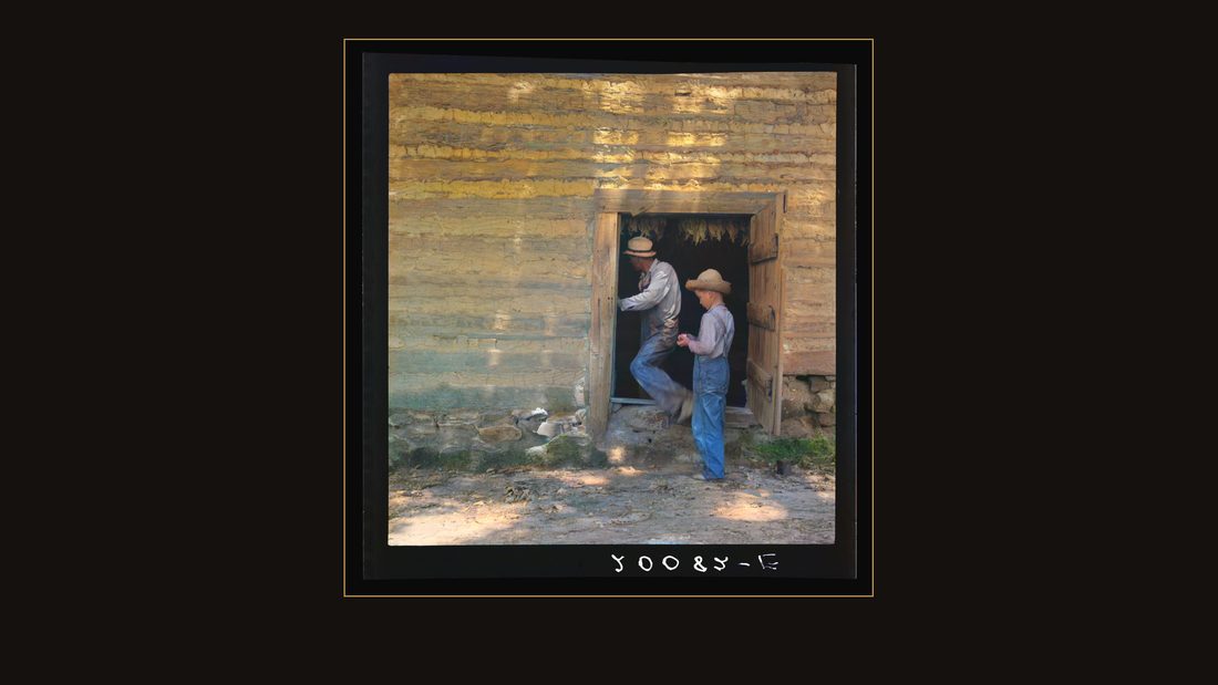 Coming out of tobacco barn in which tobacco is being cured. Careful check of temperature must be made. Granville County, North Carolina