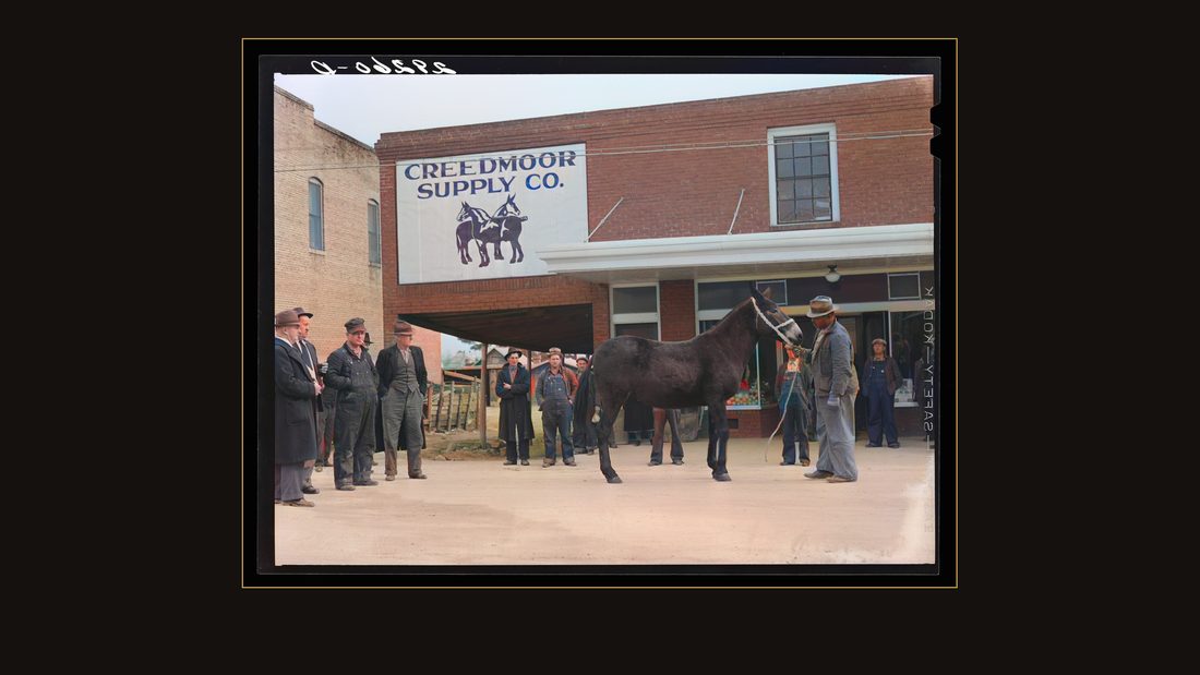 Mule auction in main street. Creedmoor, North Carolina