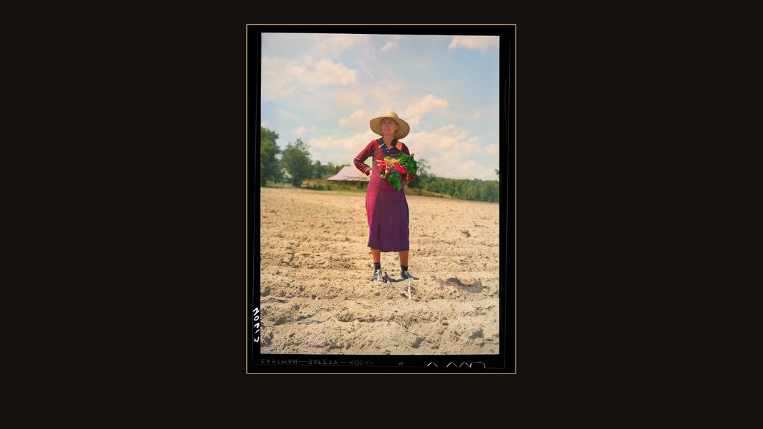 Mrs. Jones, wife of Mr. Jones, tenant farmer, with armful of tobacco plants. Near Farrington, Orange County, North Carolina