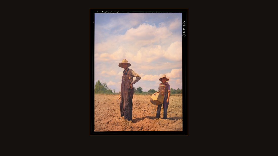 Mr. Rigsbee and his son in tobacco field. In the box are the tobacco plants and, in Mr. Rigsbee's right hand, the peg. Near Farrington, Chatham County, North Carolina