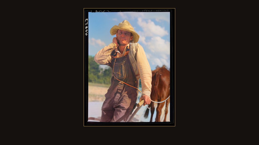 North Carolina tobacco farmer. Near Farrington, Chatham County