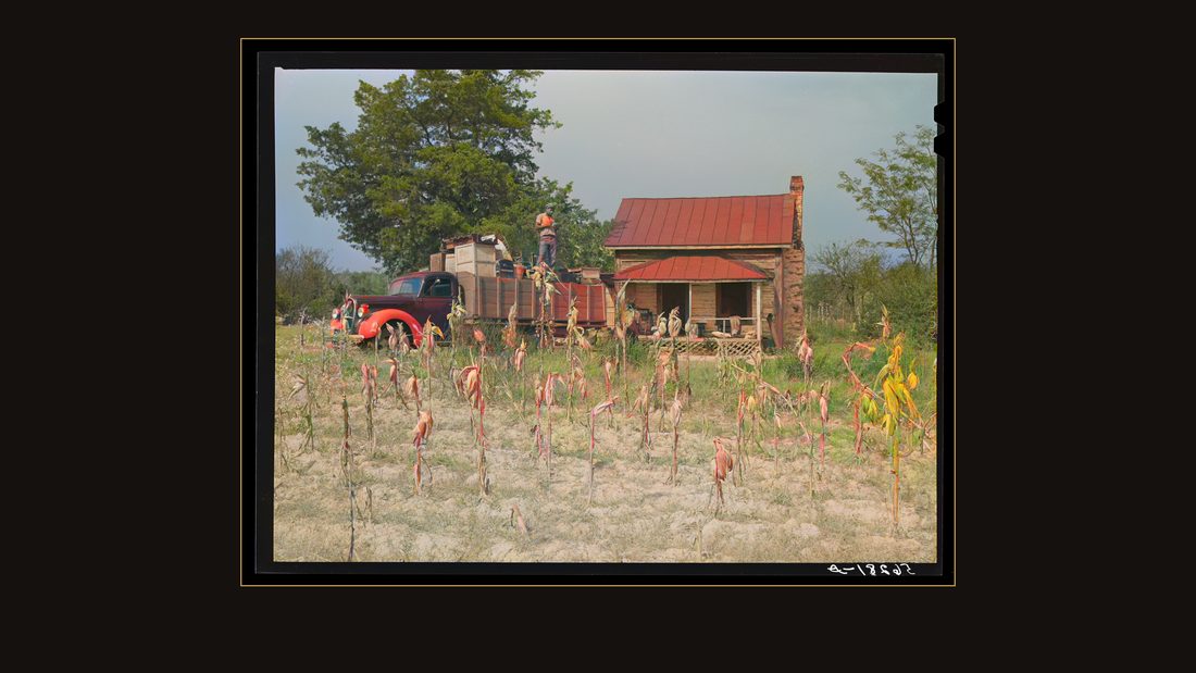 In the fall of the year after the crops are up many tenants and sharecroppers move into another farm. This colored family was moving from this home near Yanceyville to one near Ral
