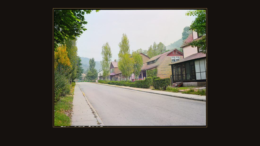 Street in company housing project. U.S. Coal & Coke Company, U.S. ^30 & 31 Mines, Lynch, Harlan County, Kentucky.