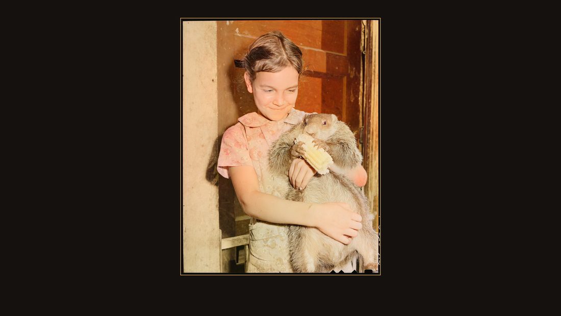 Daughter of miner with pet ground hog. Dixie Darby Fuel Company, Marne Mine, Lejunior, Harlan County, Kentucky.