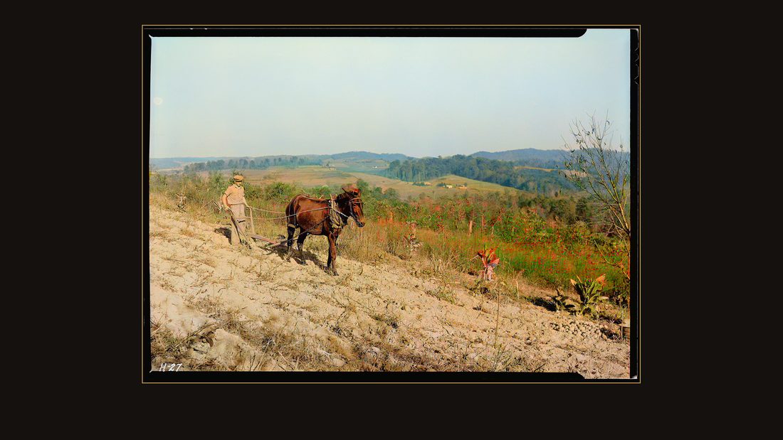 "Boy plowing potato field with a mule and bull-tongue plow on steep slope on J. W. Melton farm on Andersonville, Tennessee, road. This farm is on the edge of the area to be fl
