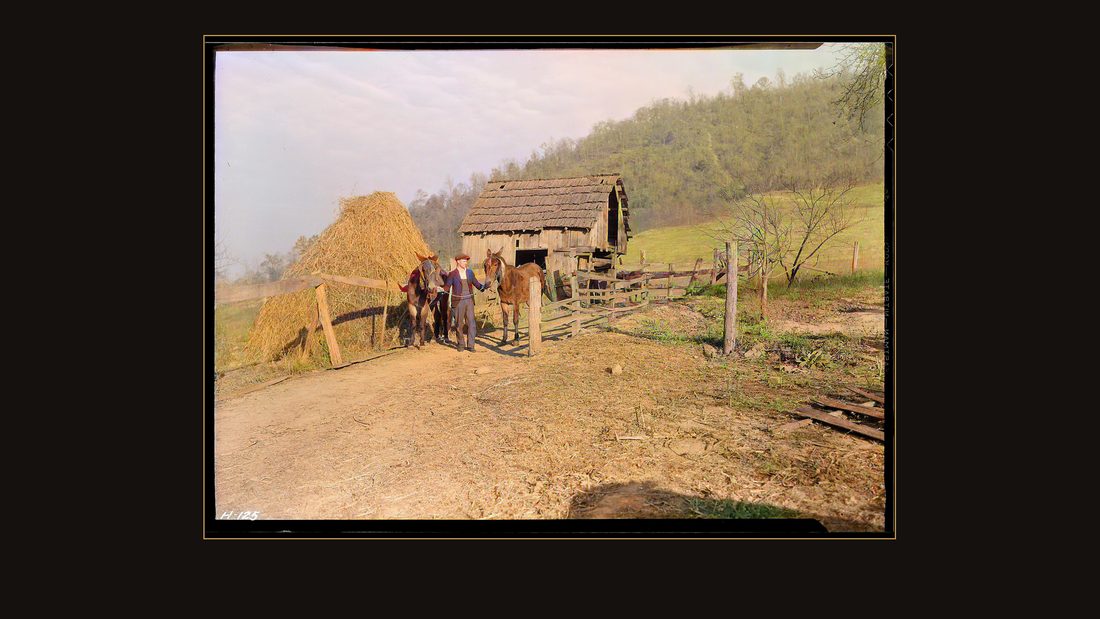 "Gaines McGlothin on his farm, R. F. D. #2, Kingsport, Tenn. Like many of the Kingsport Press workers, McGlothin is a farmer as well as an industrial worker. Originally from H