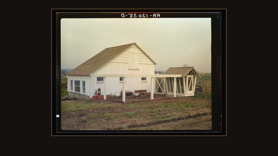 Barn, corn crib, and chickens belonging to Mr. Hardin, a Resettlement Administrator homesteader on the Arthurdale project. Reedsville, West Virginia