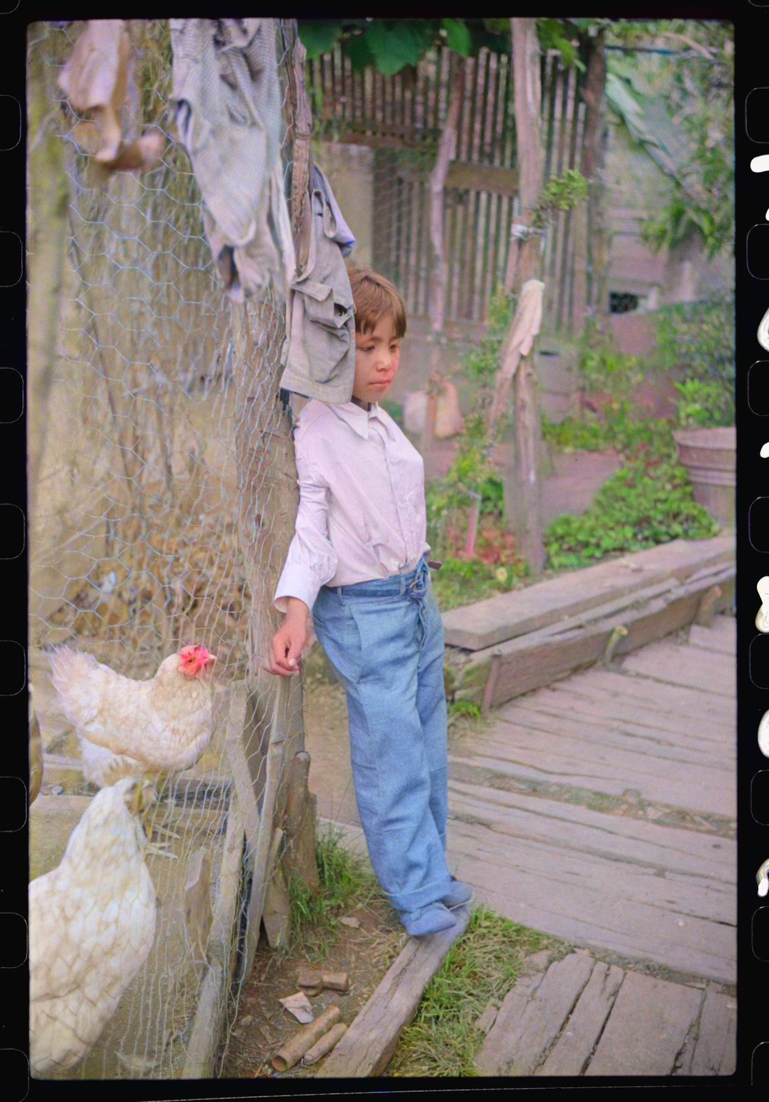 Son of Mexican miner in backyard, Scotts Run, Bertha Hill, West Virginia