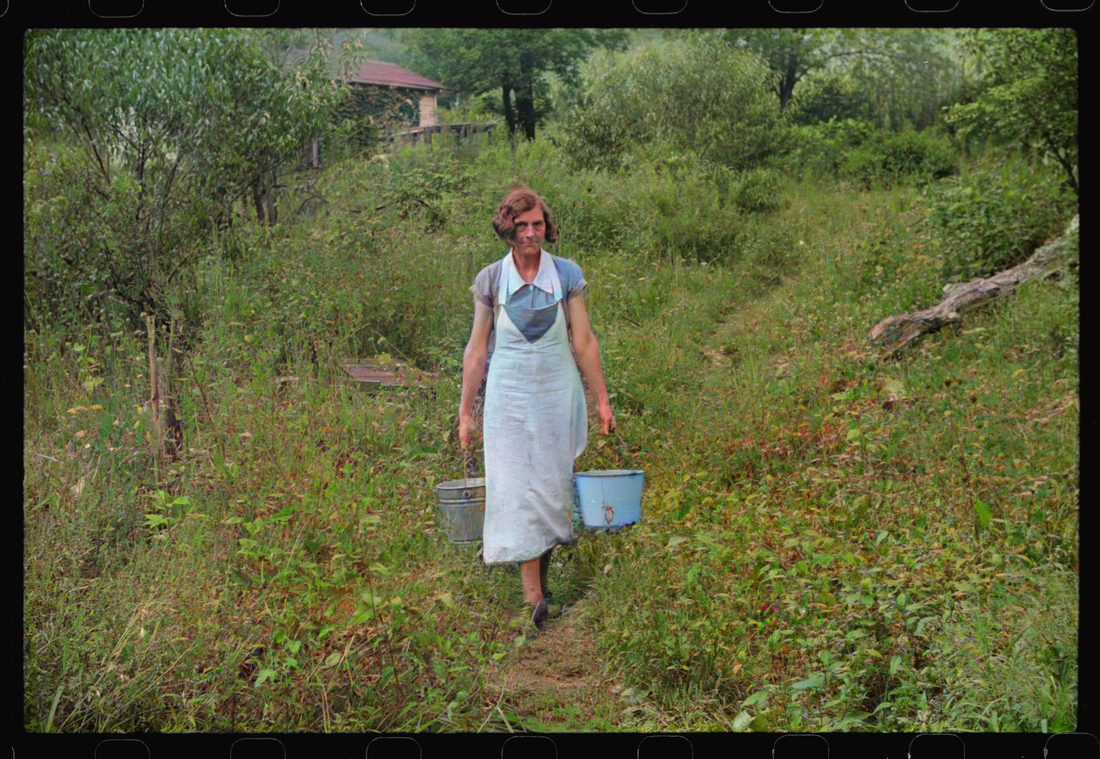 Coal miner's wife carrying home water from the hill, Bertha Hill, West Virginia
