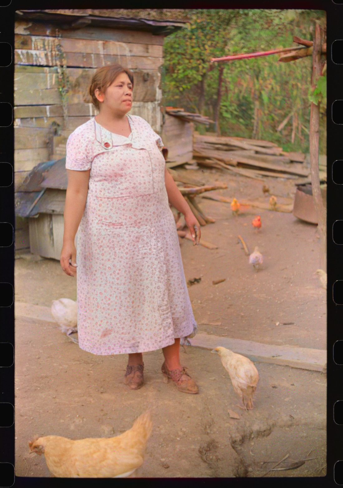 Mexican miner's wife. She doesn't speak English. Scotts Run, Bertha Hill, West Virginia