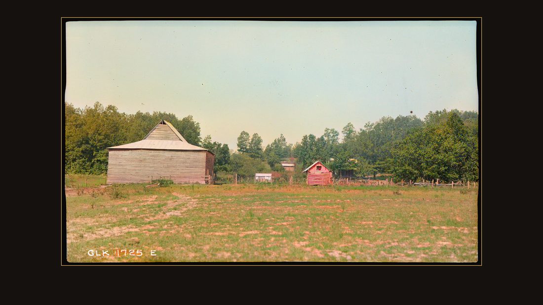 Champion, Maude; farmstead